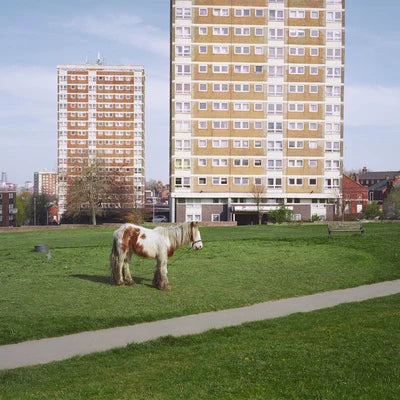 Westside Cowboy -It Goes On