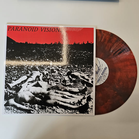 Paranoid Visions - Schizoohrenia