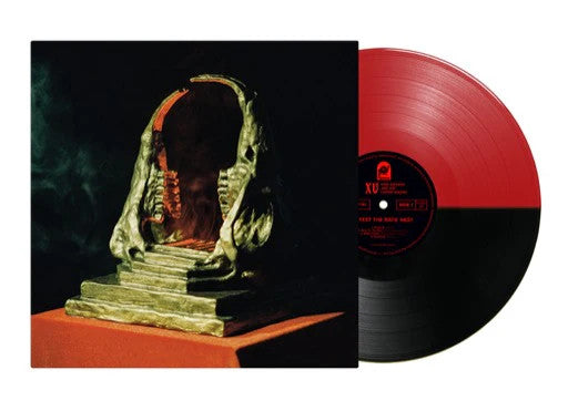 King Gizzard & The Lizard Wizard - Infest The Rat's Nest