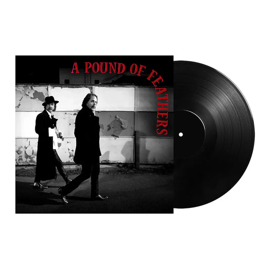 The Black Crowes - A Pound of Feathers