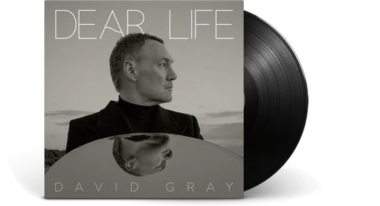 David Gray - Dear Life