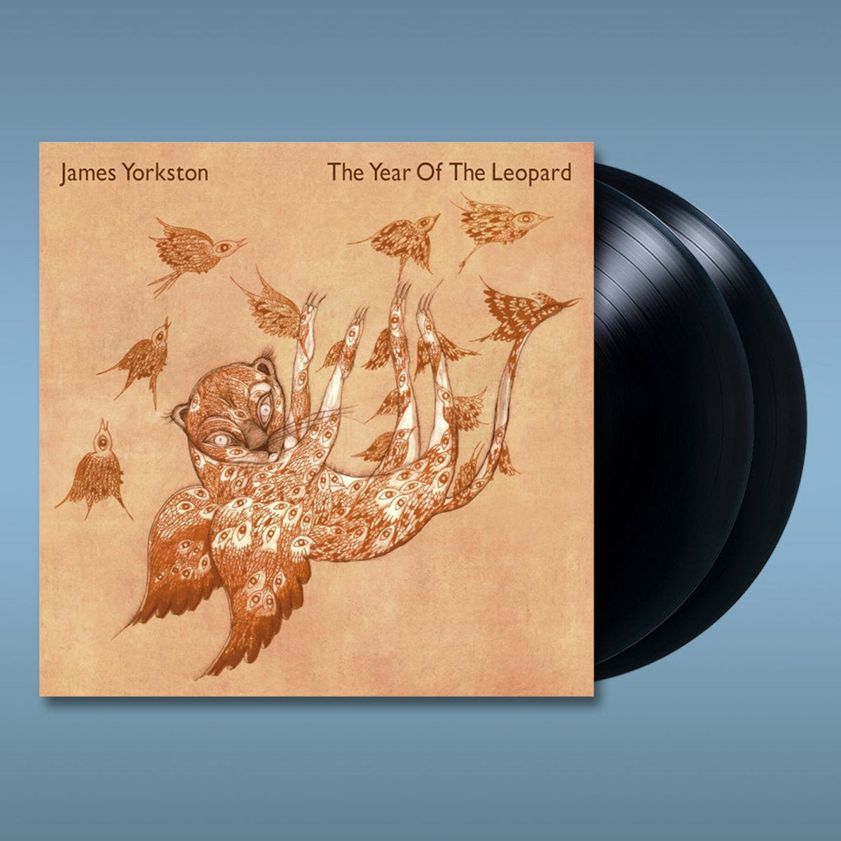James Yolrkston - The Year of the Leopard