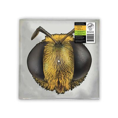 King Gizzard and the Lizard Wizard - Big Fig Wasp RSD 26