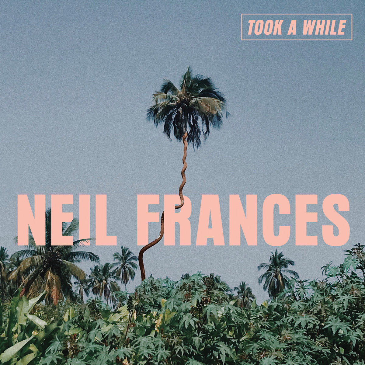 Neil Frances - Took A While