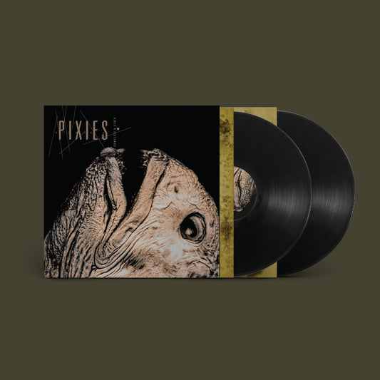 Pixies - Complete B-Sides