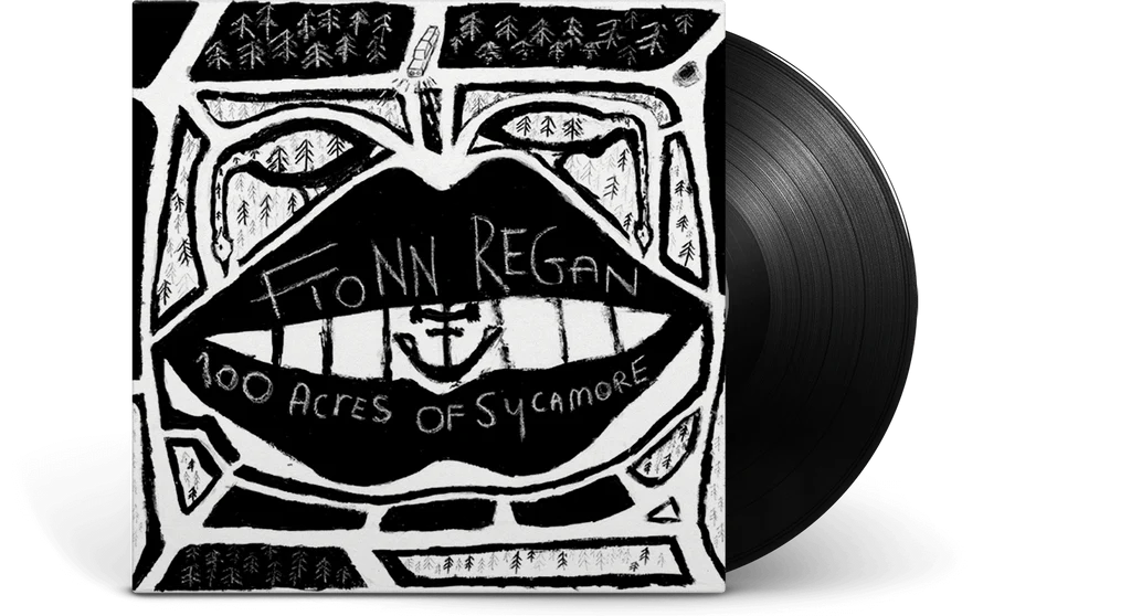 Fionn Regan - 100 Acres Of Sycamore