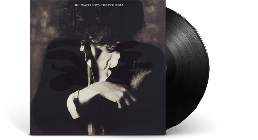 The Waterboys - This is the Sea