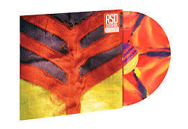 Yeah, Yeah ,Yeahs - Show Your Bones RSD Essential