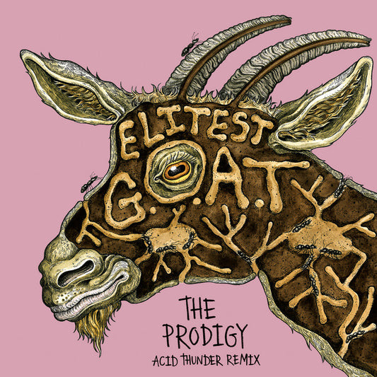 Sleaford Mods/The Prodigy - Elitist G.O.A.T. 7"