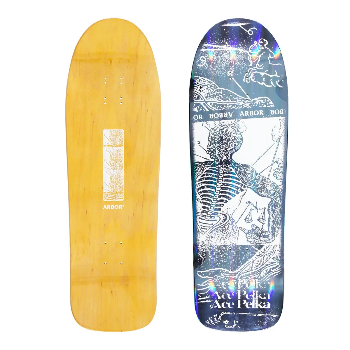Arbor Pro Deck Ace Pelka Anatomy 9.75"