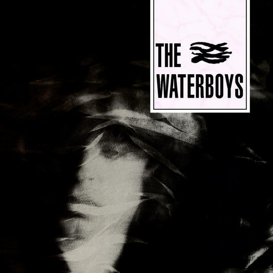 The Waterboys - Self Titled